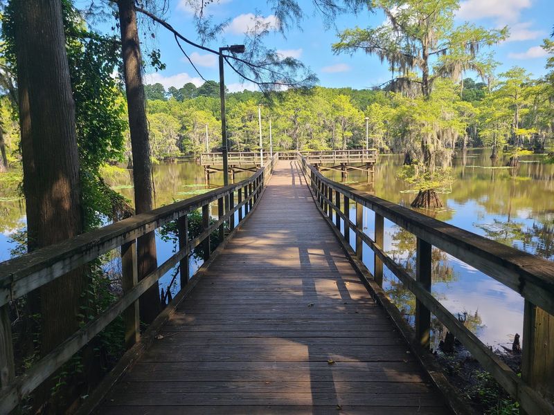 Mysterious Meadows of Caddo Lake State Park