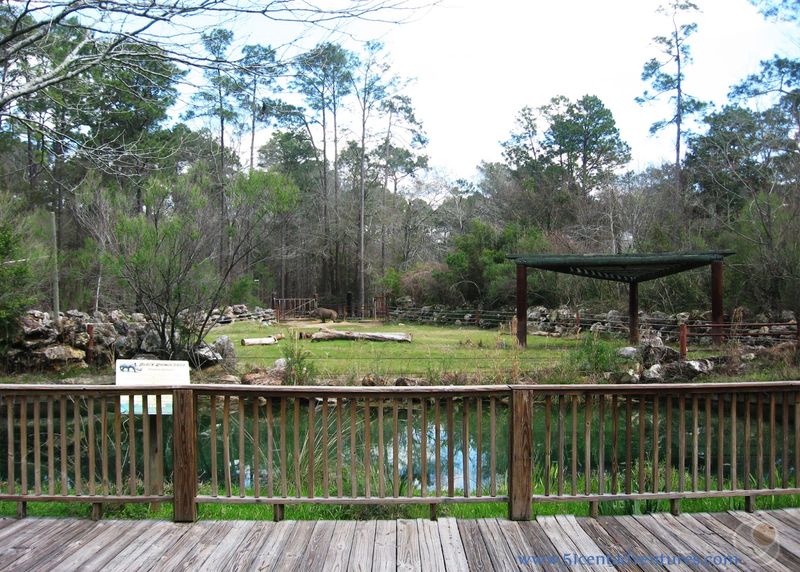 Chehaw Park's Forgotten Wildlife Sanctuary