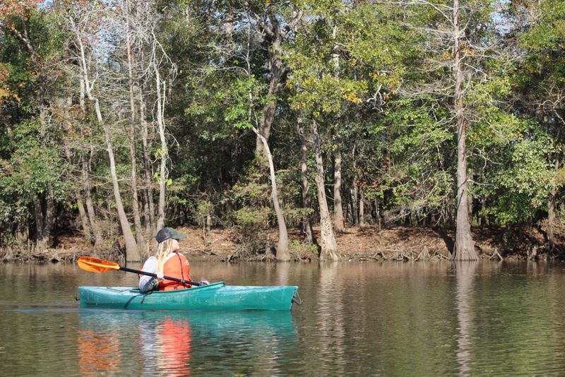 Big Thicket National Preserve, Neches River & Swamp Tributaries