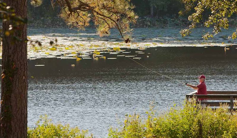 Lake Raven: Huntsville's Forested Retreat