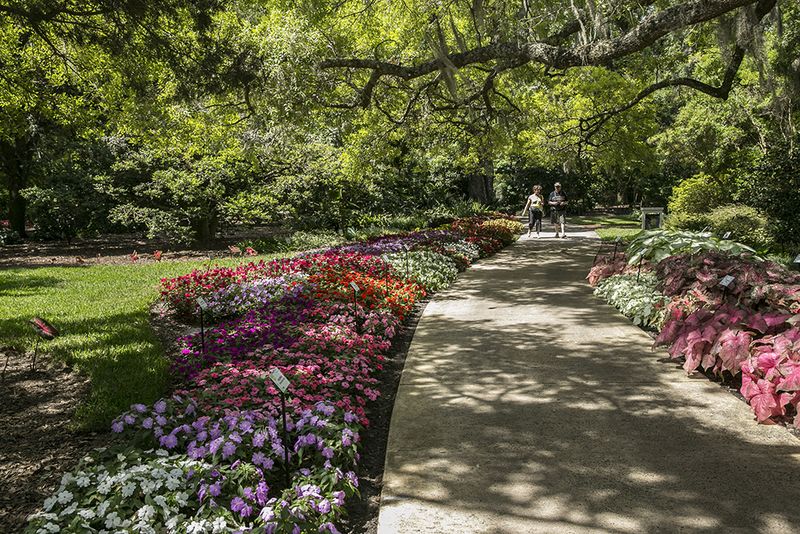 Leu Gardens: A Peaceful Escape in the City