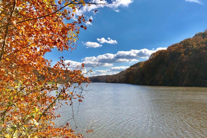 Burr Oak State Park: Quiet Lakeside Drives in Autumn