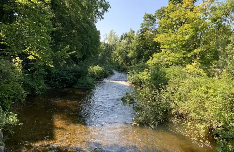 Bear River