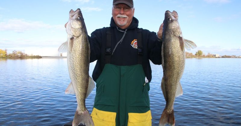 Saginaw Bay's Walleye Wonderland