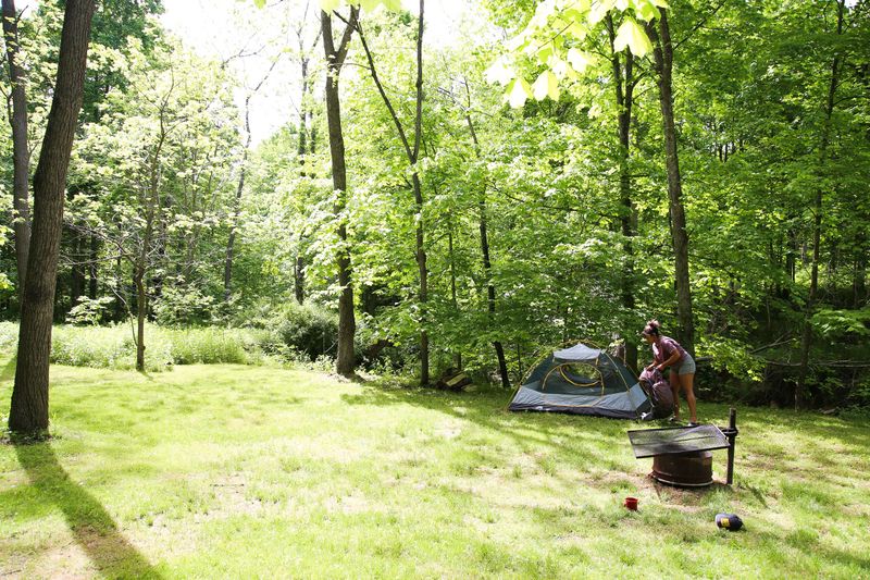 Hidden Meadow Path: Salt Fork's Forgotten Treasure