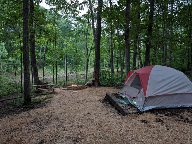 Tar Hollow State Forest