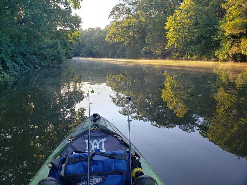 Lake Bastrop: Lost Pines Fishing Paradise
