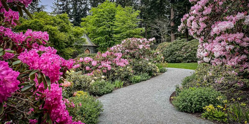 Meerkerk's Rhododendron Paradise
