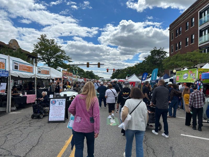 Royal Oak Art Fair: Creative Energy in a Historic Setting