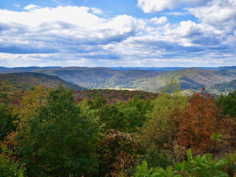 Endless Mountains (Northeastern PA)