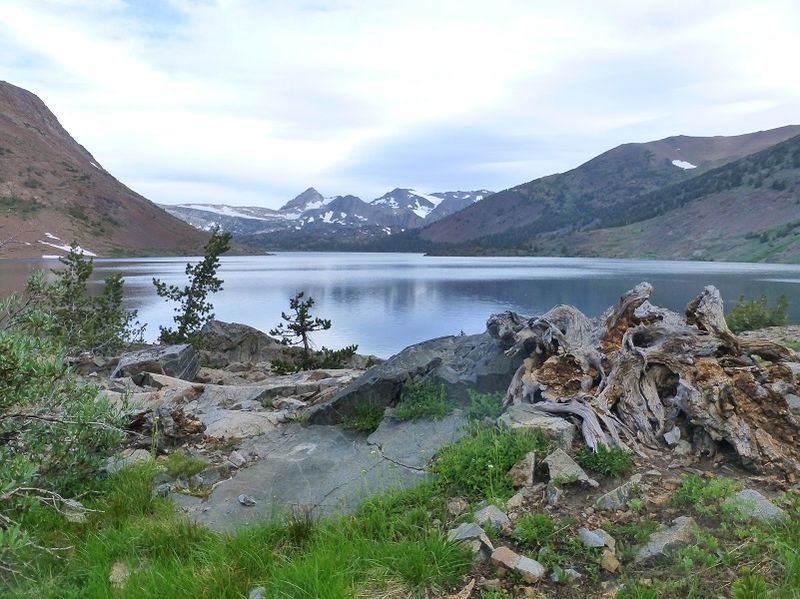 Saddlebag Lake Campground