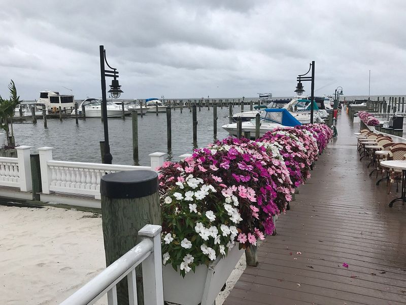 Waterfront Dining With Breathtaking Views