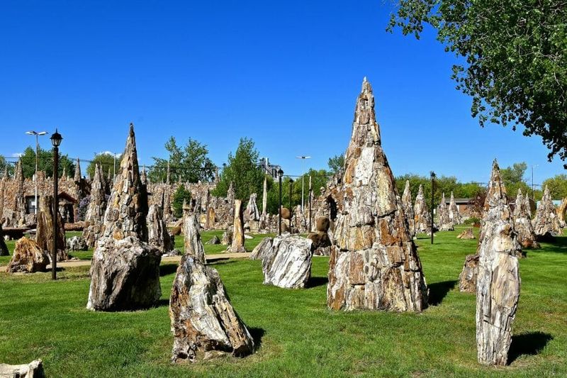 Belle Fourche River Petrified Forest