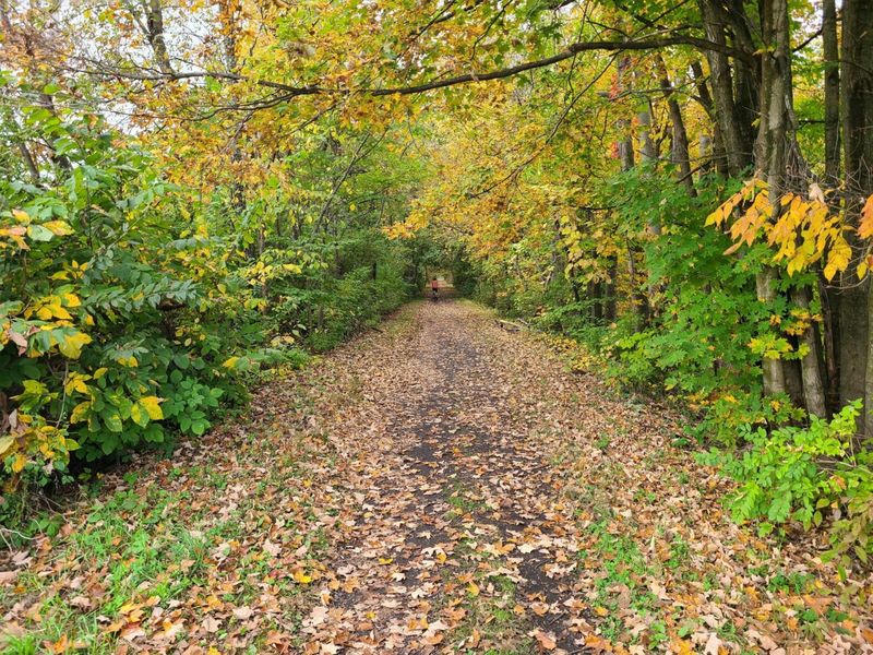 Minnewaska State Park's Forgotten Carriage Roads