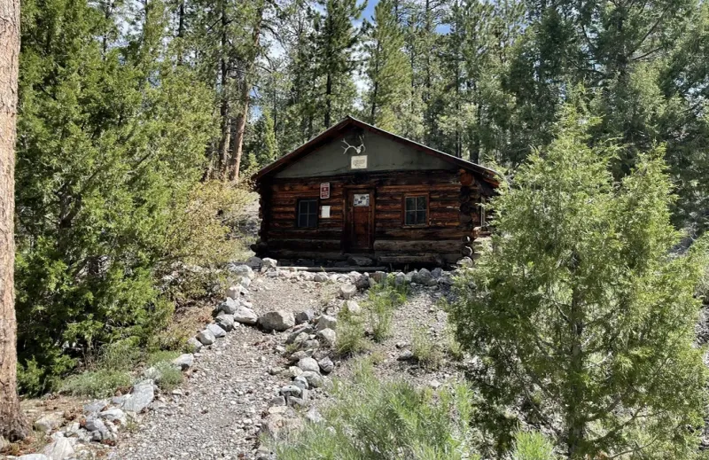 Hidden Forest Trail: Desert Oasis Surprise