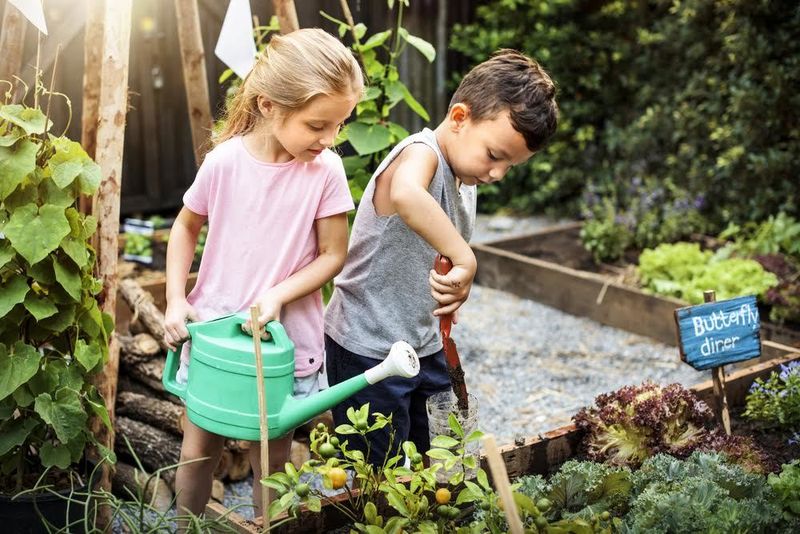 Autumn Community Garden Volunteer Days