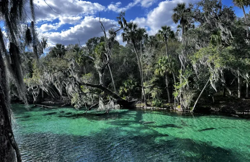 Blue Spring State Park Trail System