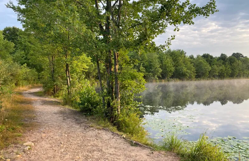 Nescopeck State Park: Woodlands and Wetlands in Luzerne County