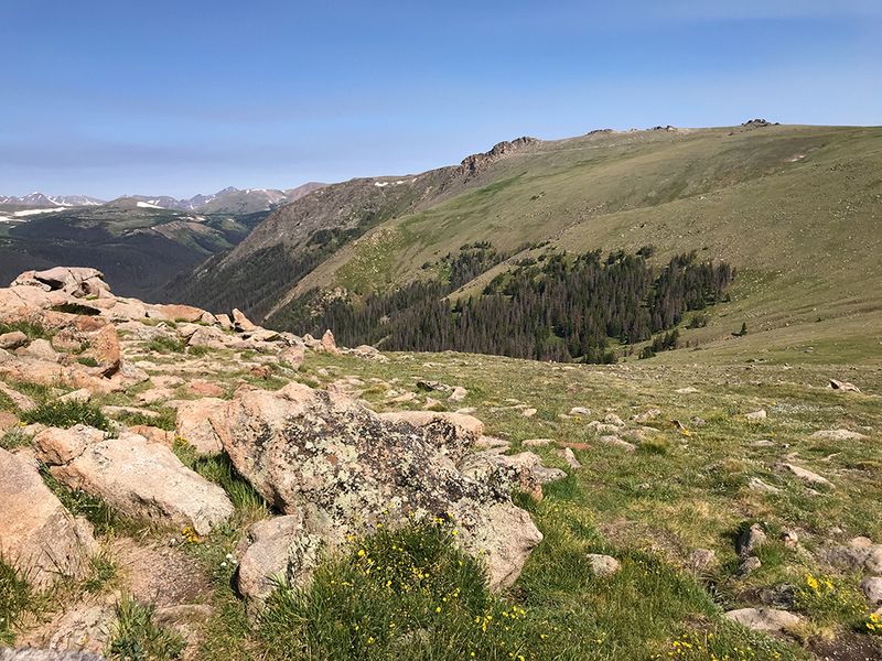Forest Canyon Overlook: Rocky Mountain's Hidden Vista