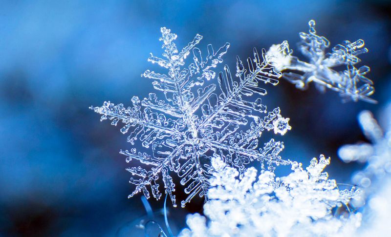 The Science Behind Snow