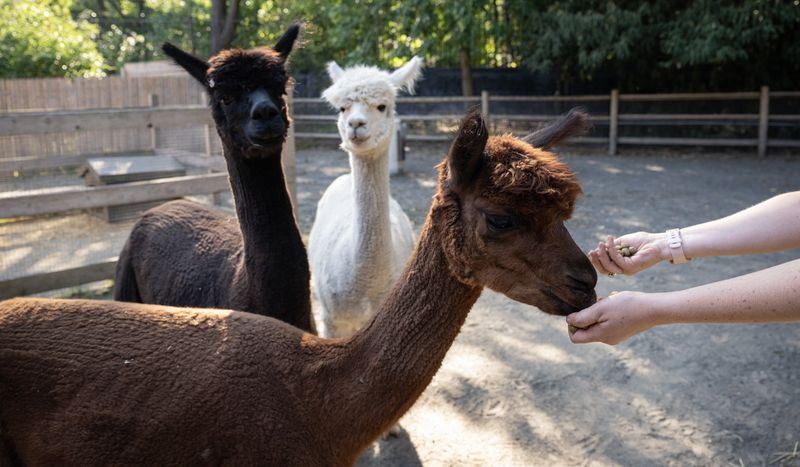 Prospect Park Zoo's Barn and Garden - Brooklyn