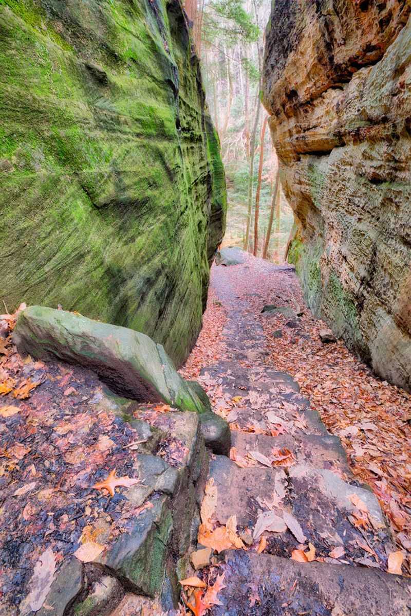 Cantwell Cliffs Overlook in Hocking Hills: Rugged and Remote Beauty