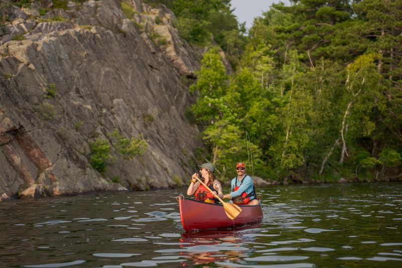 Teal Lake - The Bird Watcher's Paradise