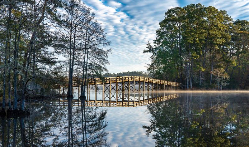 Pineywoods Trail at Martin Dies Jr. State Park: Towering Trees by the Water