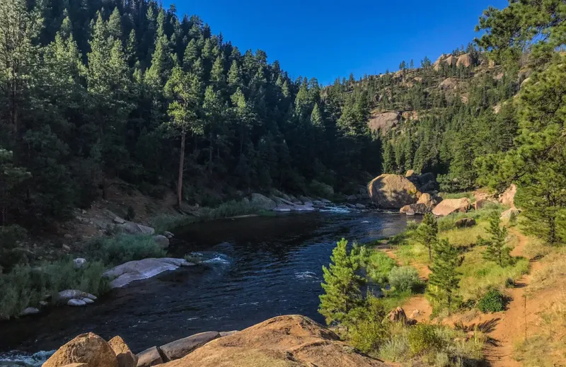 Chessman Canyon Trail: A Historical Forest Passage