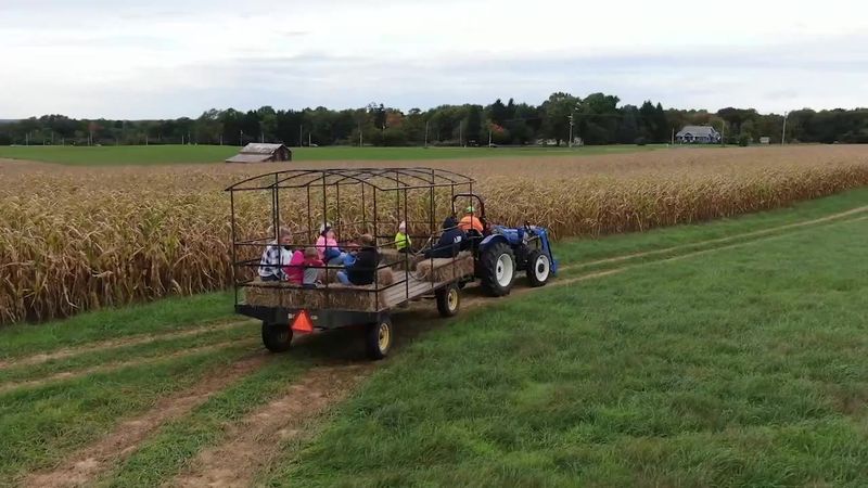 Derthick’s Corn Maze