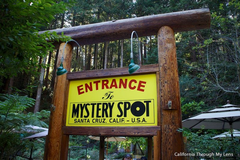 Mystery Spot in Santa Cruz