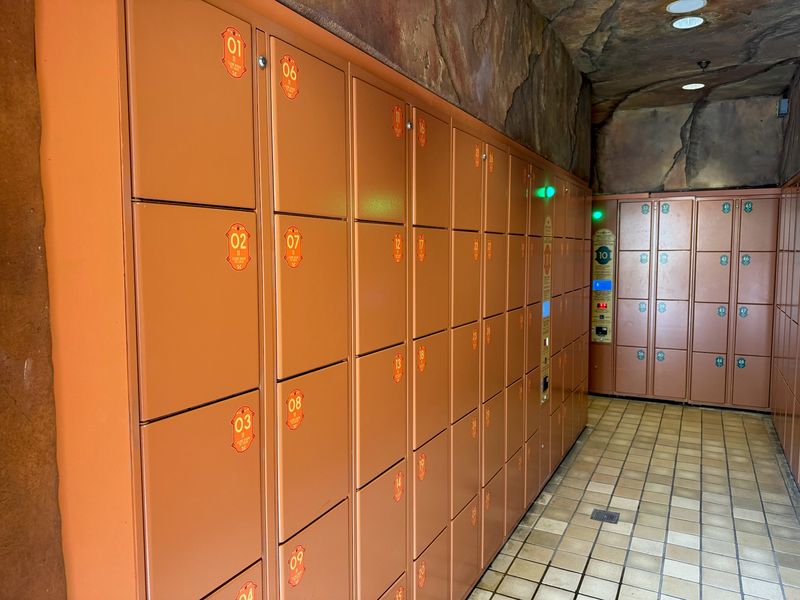 Forgetting Locker Requirements