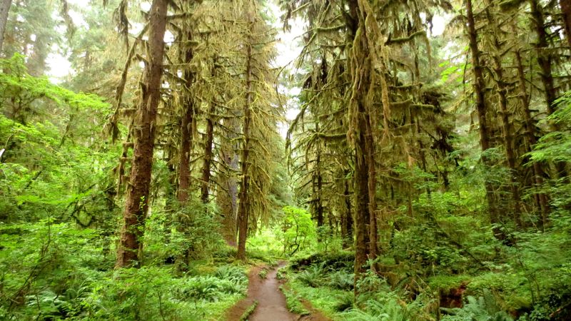 Olympic Peninsula Loop