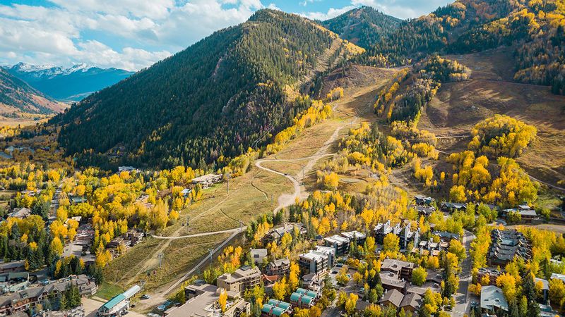 Aspen in Summer and Fall