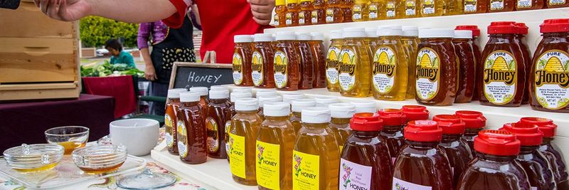 Tillamook Farmers Market: Dairy Country's Fresh Harvest