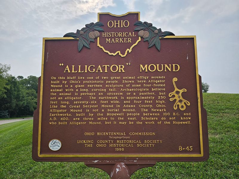 Alligator Effigy's Puzzling Shape