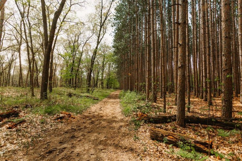 Toledo to Oak Openings Region