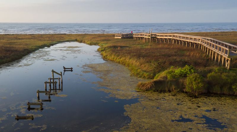 Sea Rim State Park: Marshlands Meet Beach