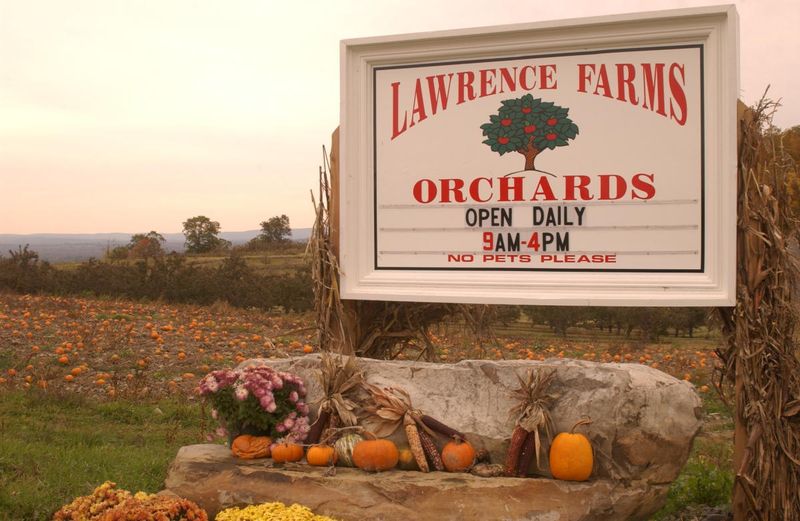 Lawrence Farms Orchards: Whimsical Wonder in Pumpkin Form