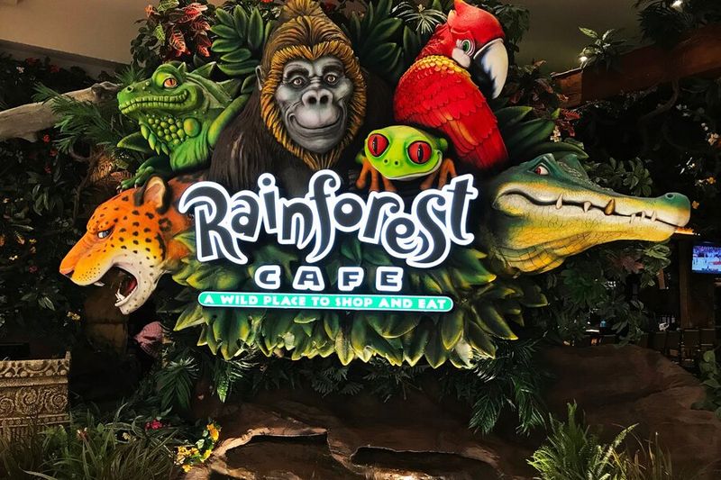 Rainforest Cafe - Wild Jungle Adventure