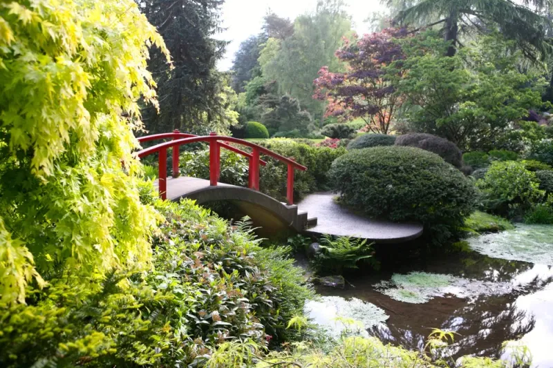 Kubota's Japanese-Northwest Fusion