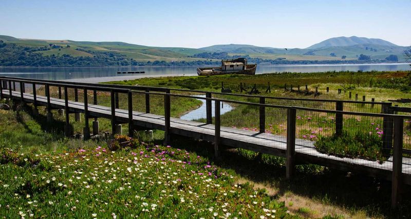 Inverness (Tomales Bay)