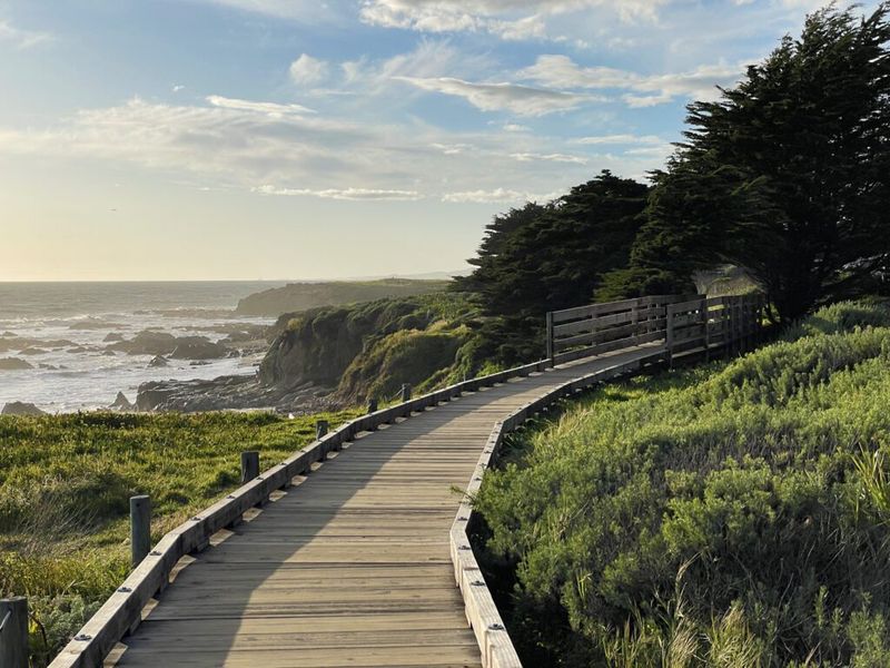 Cambria: Where Pines Meet the Sea