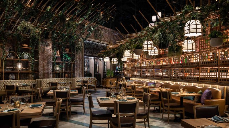 Cultural Experience Beyond Just Dining