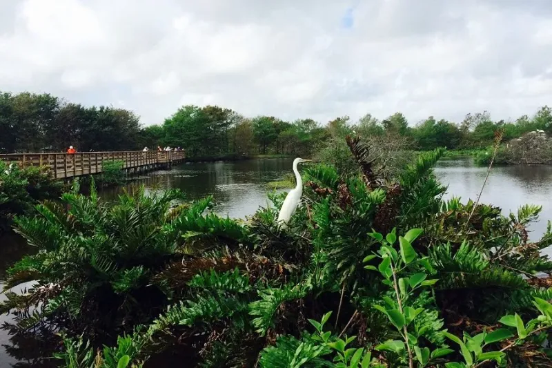 Wakodahatchee Wetlands