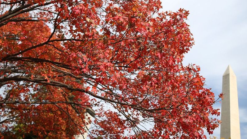 Friday into the Weekend: Showers Stick Around