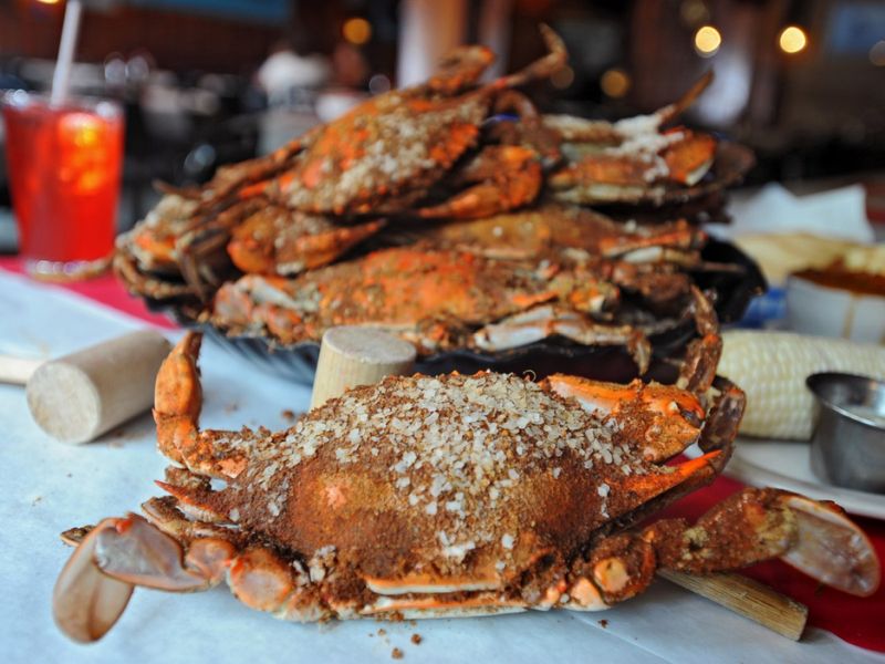 Schultz's Crab House – Old-School Essex Crab Excellence