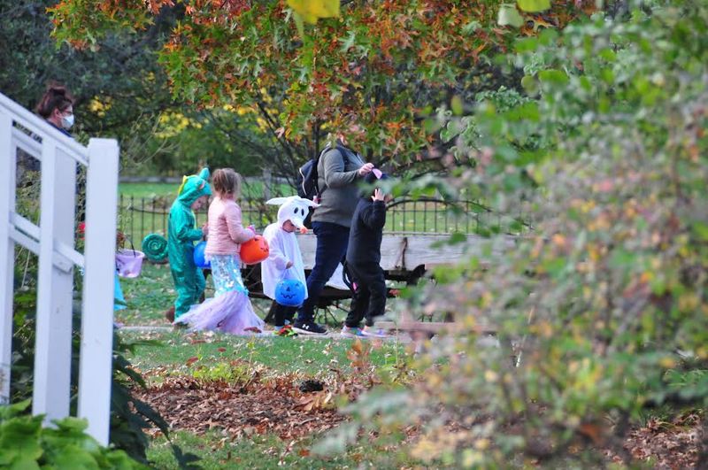 Kensington Metropark's Pumpkin-Lined Adventure