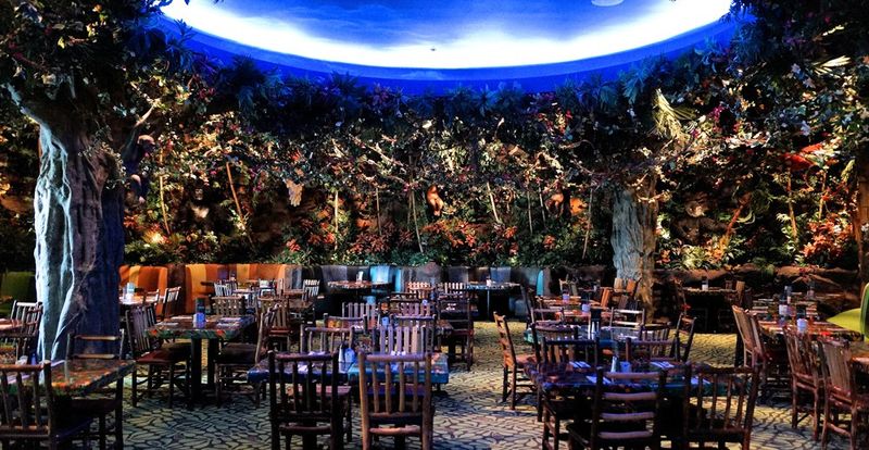 Rainforest Cafe