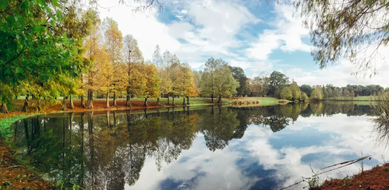 Greenwood Urban Wetlands: Nature Trails Minutes From Downtown
